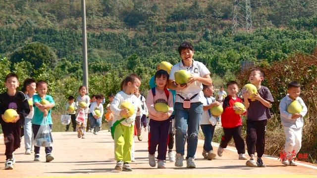 满山“柚”惑挡不住！临武县武水镇太和村2000余亩柚子喜获丰收