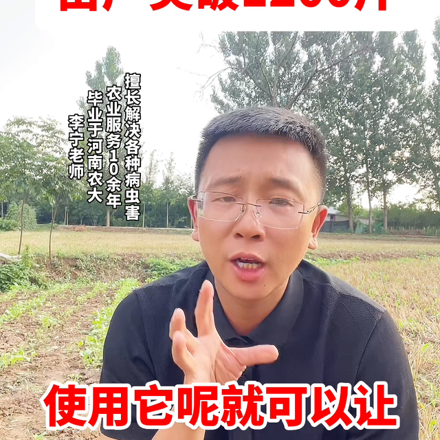 大豆亩产1200斤，错过后悔1年#农业种植技术