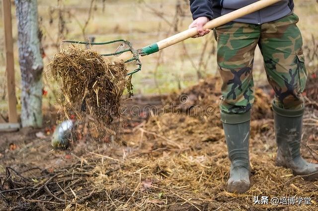 孙培博：果园土壤、水肥管理的哪些坑，你踩过多少？（一）