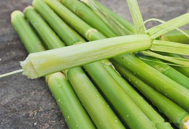 甜高粱，70-80年代孩子的天然零食，有4大价值，为何很少种植了