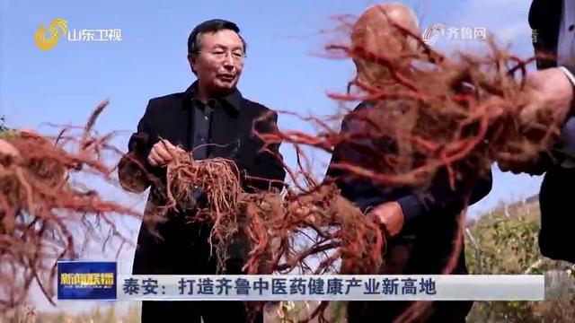 泰安：打造齐鲁中医药健康产业新高地