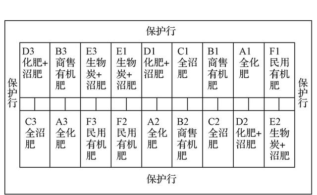 现代种植研究：不同施肥方式对甘蓝种植的影响及综合效益评价