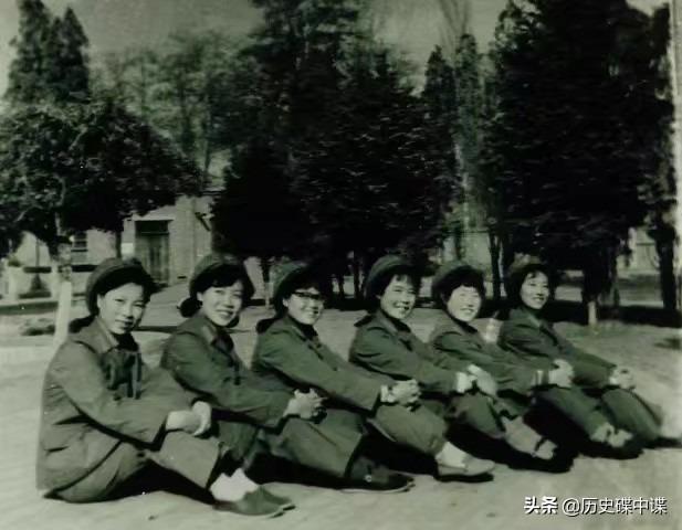 母狼难产，公狼到军营附近求助，为感谢女军医，野狼帮忙站岗放哨