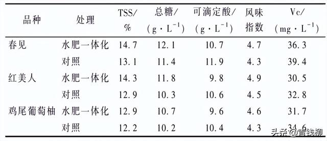 低山丘陵柑橘园水肥一体化技术应用试验