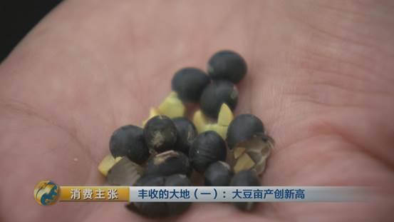 大豆里的“新商机”：改种新品种大豆 农户百亩地多赚数万块