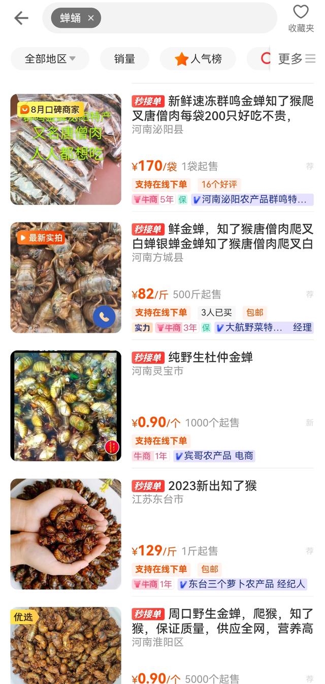 一公斤1000元！夏天随处可见的它还是一味重要的中药材