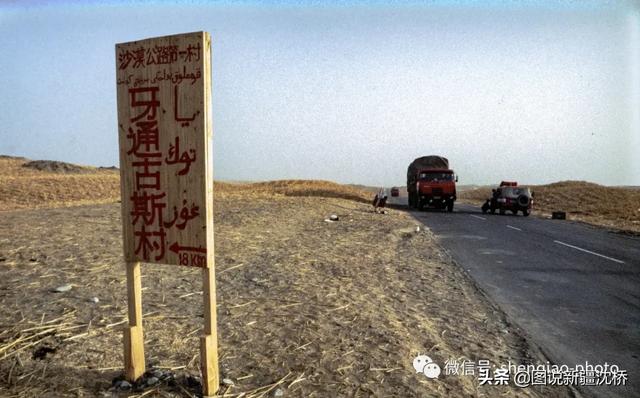 野猪出没的地方，变身沙漠公路第一村