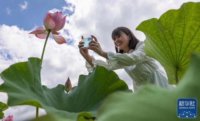 荷花宫样美人妆，荷叶临风翠作裳