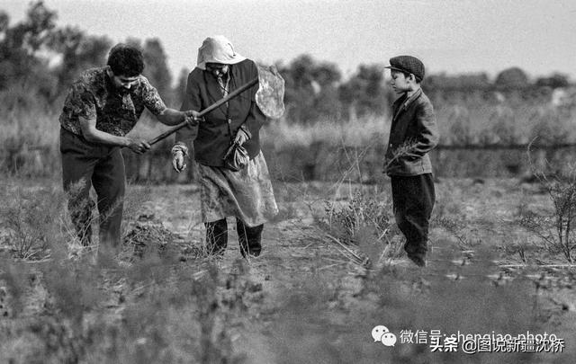 野猪出没的地方，变身沙漠公路第一村