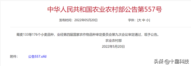 河南省6个超级麦品种，适合安徽皖北、江苏苏北种植