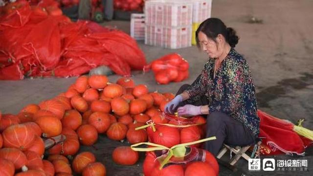 探访山东寿光蔬菜批发市场：黄瓜西红柿集中上市“菜篮子”供应充足