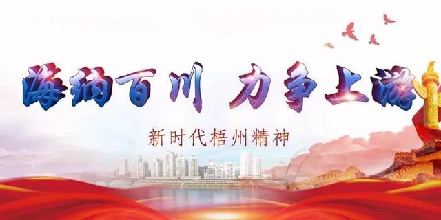 他从清华大学毕业后选择到梧州并随即驻村工作，立志打赢谢村的脱贫攻坚战