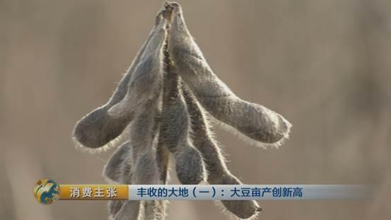 大豆里的“新商机”：改种新品种大豆 农户百亩地多赚数万块