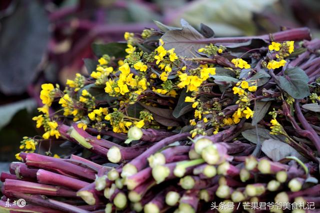 芒果君爷爷：红菜苔炒腊肉，品味湖北从这道中国名菜开始