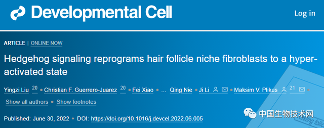 Cell子刊：科学家发现驱动毛发生长的关键信号分子，为治疗脱发带来新希望