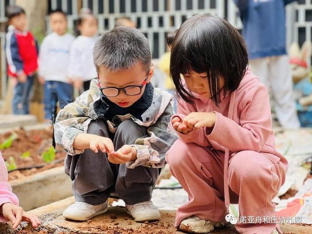 秋风起，秋种起——诺亚舟和庄幼儿园秋季种植活动之播种篇