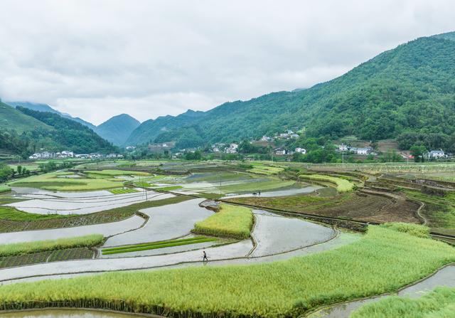 #（经济） 立夏将至农事忙