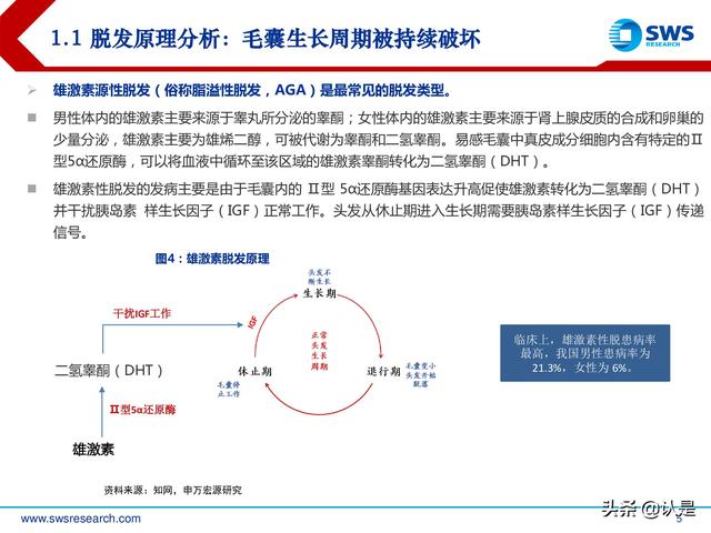 植发行业深度专题报告：确定性与成长性兼具，植发行业发展正当时