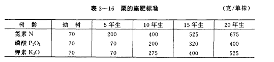 板栗树栽培技术，板栗遍地都是，不仅提高量产，还增加收入