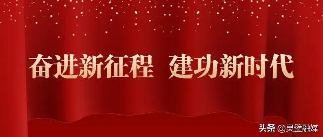 灵璧：党组织领办合作社 为乡村振兴注入“源动力”