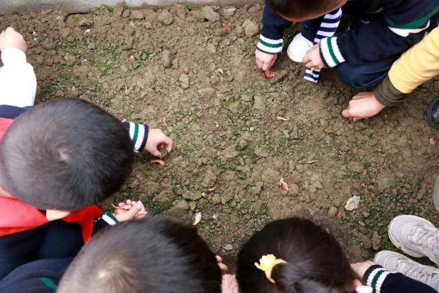 成都市双流区黄甲小学——小手种希望，共待花开时