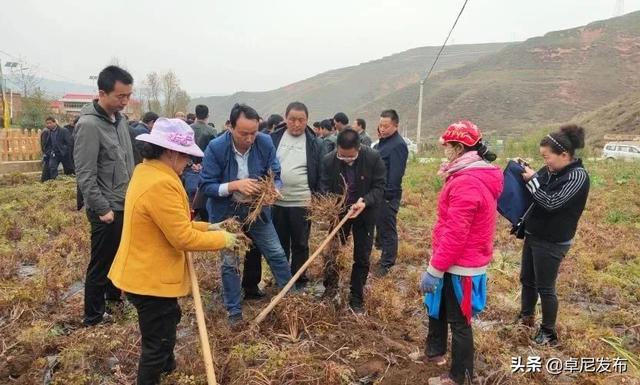 昌合药材种植合作社：种植绿色农产品，多渠道带贫增收