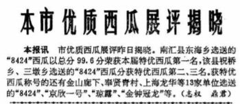 上海人太牛！吃瓜全国第一！但好吃的西瓜不止8424，胜过冰淇淋的这种瓜吃过伐？