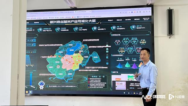 农户只需负责田间管理！新兴紫米：销路、技术都由企业解决