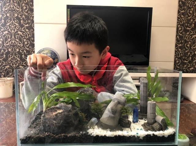 赞！小学生自然笔记，记录生物净化水质全过程