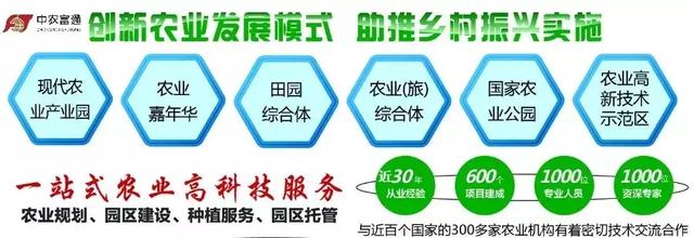 【建议收藏！】小型礼品西瓜日光温室立体种植技术