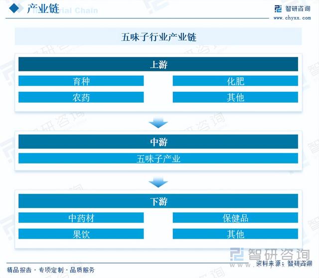 【前景趋势】一文读懂2023年五味子行业未来发展前景