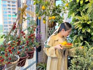 上海青菜的种植方法(上海90后夫妻，1个垃圾筐1个矿泉水瓶立体栽香葱，实现蔬菜自由)