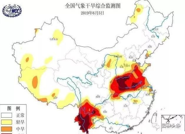 中国水资源严重缺乏，种植耐旱树种成必然趋势