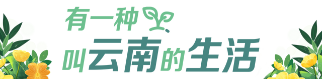 有一种叫云南的生活｜口感清脆香甜！玉溪元江莫郎2000亩红桃上市