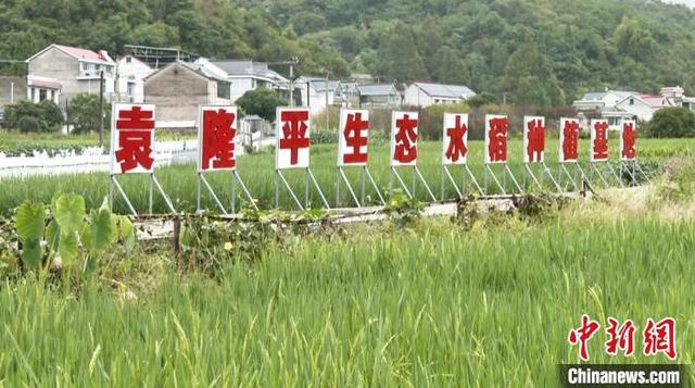 袁隆平生态水稻试验田迎来春耕忙