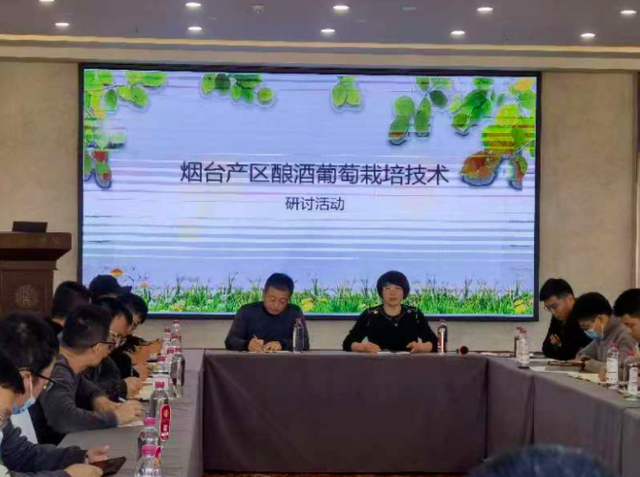 烟台市举办烟台产区酿酒葡萄栽培技术研讨活动