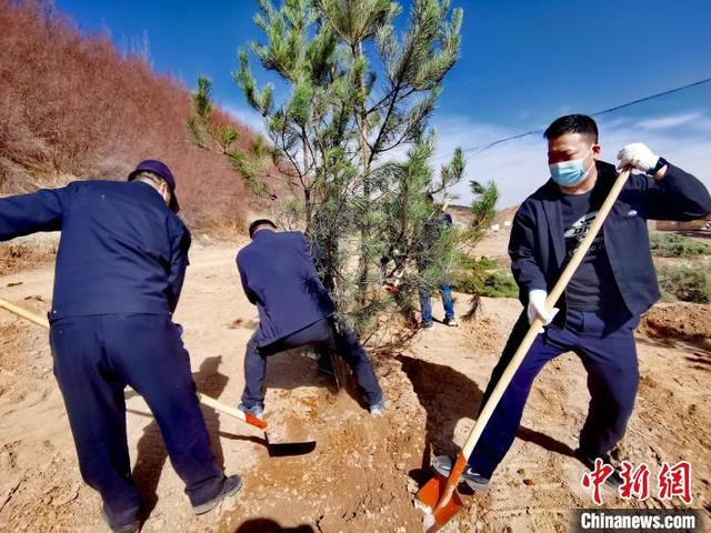 青海掀起春季义务植树高潮 今年计划义务植树1500万株