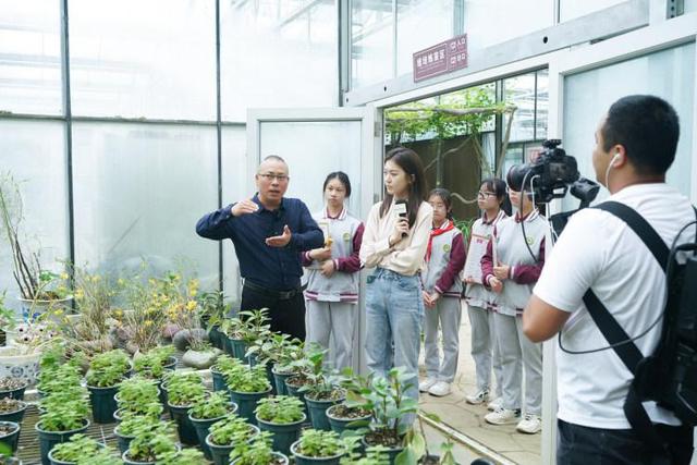 当“神农”识“百草”，植物学家带孩子们探秘“中药材库”