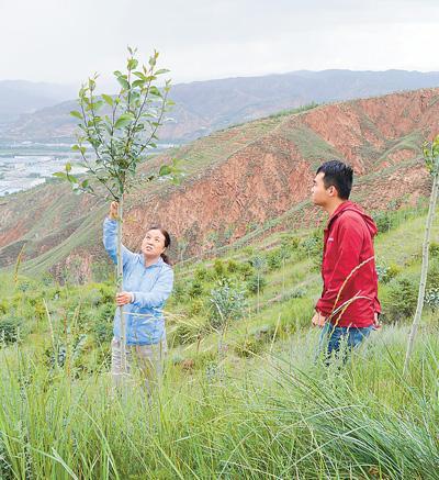 乡土植物唱主角 科学绿化在身边