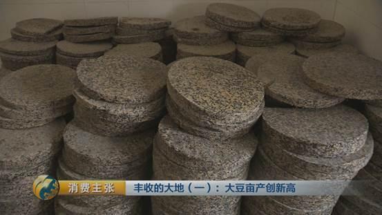 大豆里的“新商机”：改种新品种大豆 农户百亩地多赚数万块