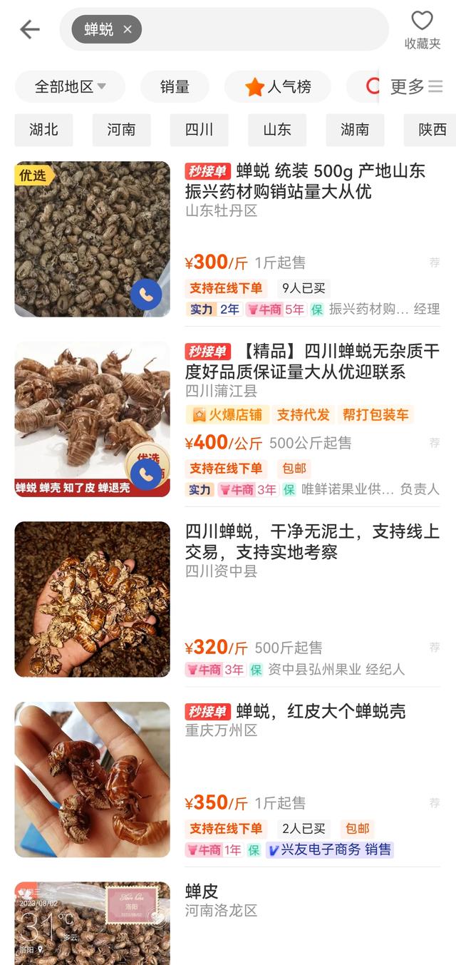 一公斤1000元！夏天随处可见的它还是一味重要的中药材