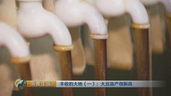 大豆里的“新商机”：改种新品种大豆 农户百亩地多赚数万块