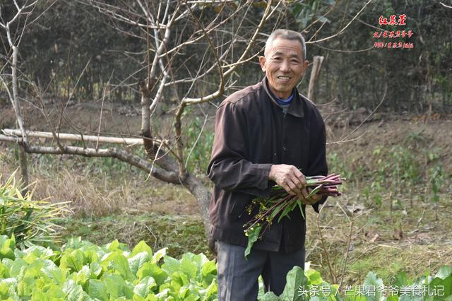 芒果君爷爷：红菜苔炒腊肉，品味湖北从这道中国名菜开始