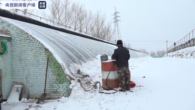 换苗、补种、增温、清雪…… 应对暴雪天气 内蒙古赤峰种植户有这么多招