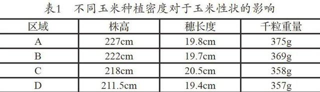 玉米种植密度及其产生的影响，进行合理密植，提升产量保证质量