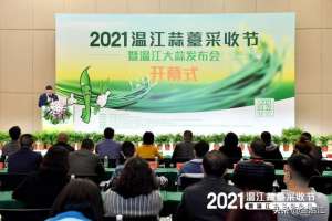 温江大蒜种植技术(成都温江：2021温江蒜薹采收节暨温江大蒜发布会圆满举办)