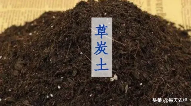 无土草坪怎么种植图片(厉害了“草炭土”没想到作用这么多)