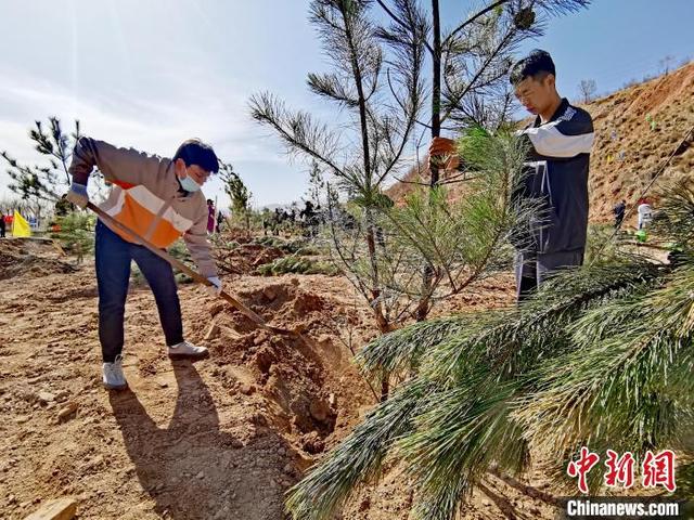 青海掀起春季义务植树高潮 今年计划义务植树1500万株