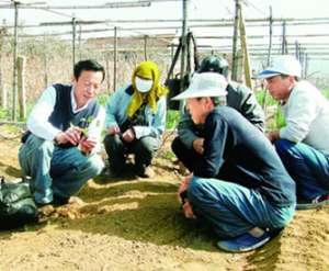 北方草莓种植技术培训(“草莓教授”的小目标，让草莓全年不间断新鲜上市，他这样做了)