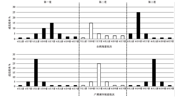 广西红肉火龙果周年生长节律与一年三茬（熟）栽培技术